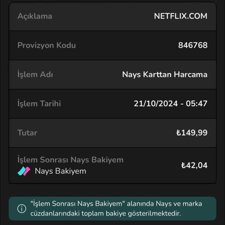 Ödeme Hatası: Nays Ve Netflix Arasında Kayıp Para
