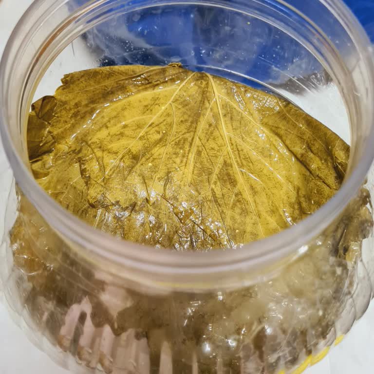 Kalitesiz Ürün Ve Sansürlenen Yorumlar