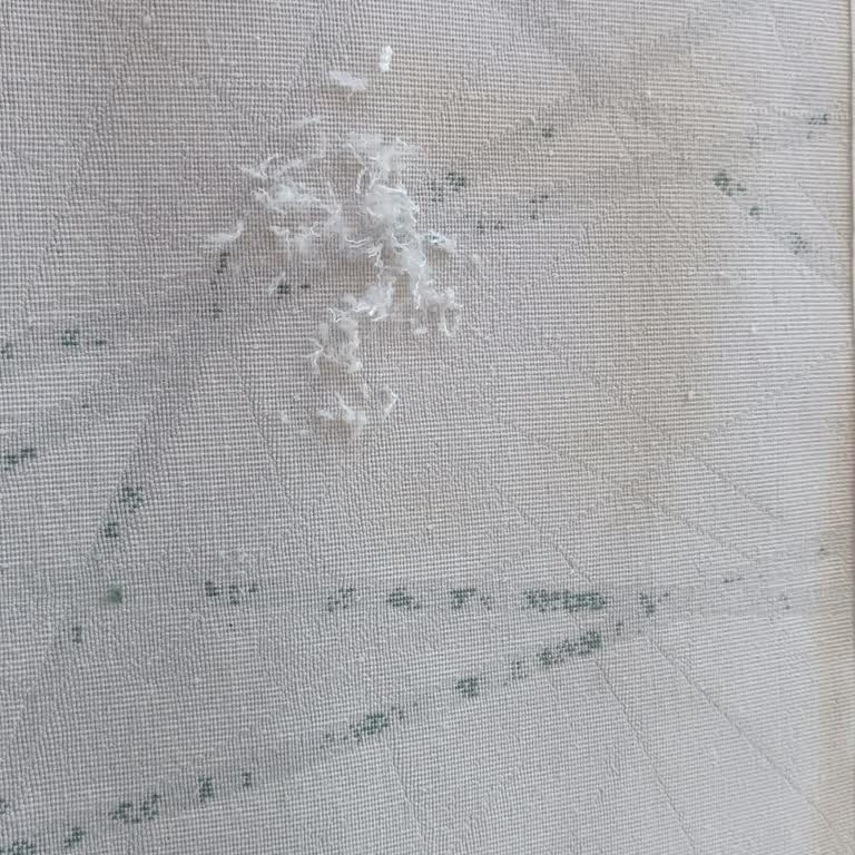 Halı Yıkama Fabrikasında Beklenmedik Sorunlar