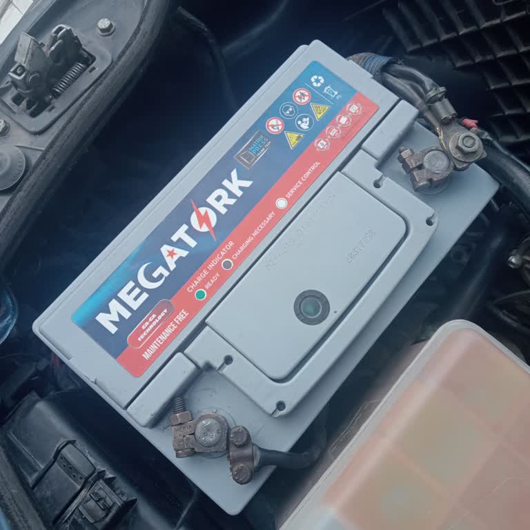 Cemre Akü Dünyası İlgisizliği!