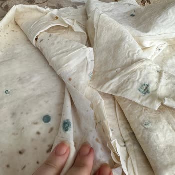 Çürümüş Yufka Skandalı: Anpa Gros'tan Acil Çözüm Bekliyorum