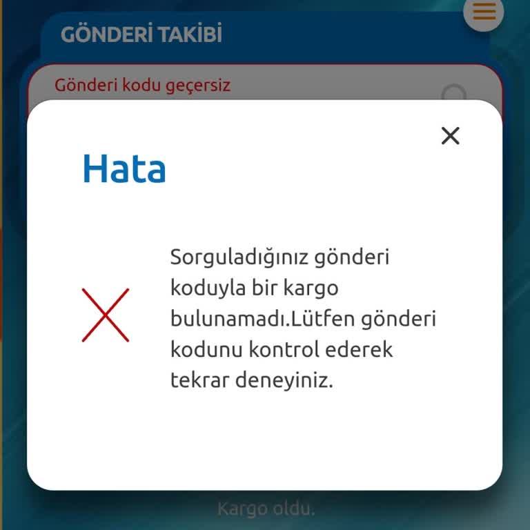 Kargo Takip Numarası Sorunu