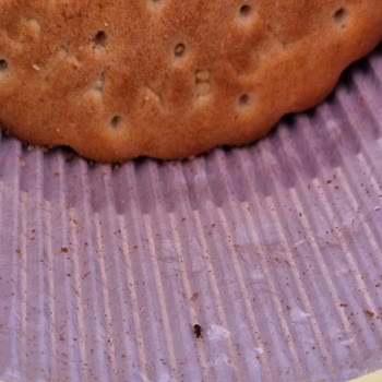 Ülker Çokoprens'ten Çıkan Böcekler Şaşırttı