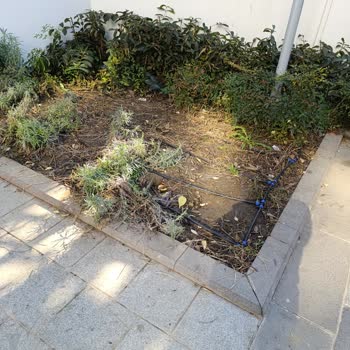 Bağcılar Belediyesi Temizlik Sorunu