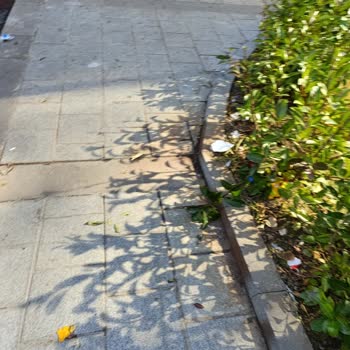 Bağcılar Belediyesi Temizlik Sorunu