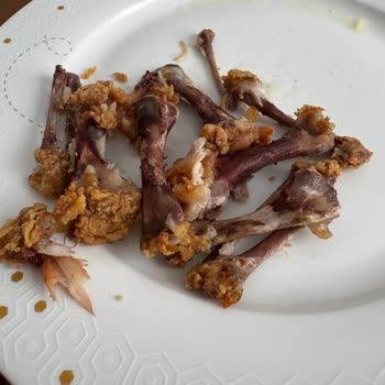 KFC Siparişimde Hayal Kırıklığı: Tavuklar Yenilemez Durumda