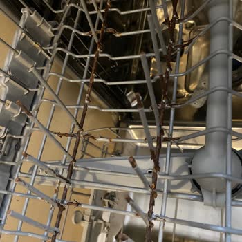 Beko Bulaşık Makinesi Sepetleri Dökülüyor, Paslı Parçalar Çıkıyor