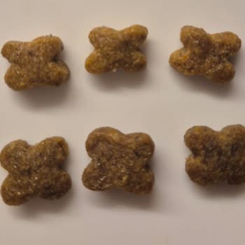 Sahte Köpek Maması Ve Yorum Engeli