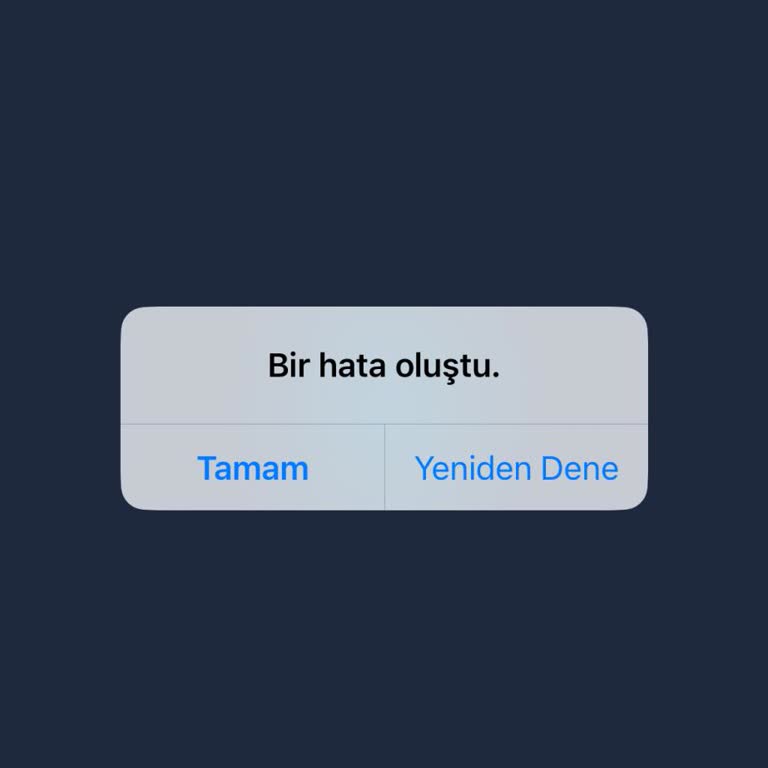 Uygulama Erişim Sorunu Ve Maddi Kaygılar
