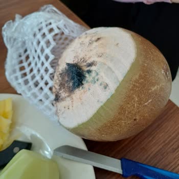 Bozuk Hindistan Cevizi Hayal Kırıklığı