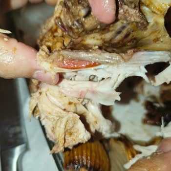 Pişmemiş Tavuk Ve Kötü Müşteri Hizmeti Deneyimi