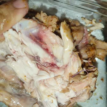 Pişmemiş Tavuk Ve Kötü Müşteri Hizmeti Deneyimi