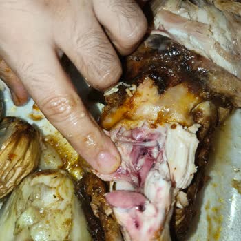 Pişmemiş Tavuk Ve Kötü Müşteri Hizmeti Deneyimi