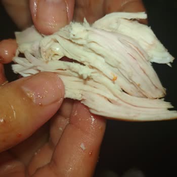 Pişmemiş Tavuk Ve Kötü Müşteri Hizmeti Deneyimi