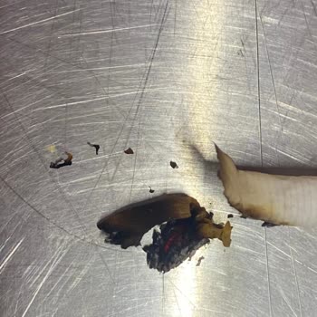 Camel Sigara İçinde Odun Parçası Şoku