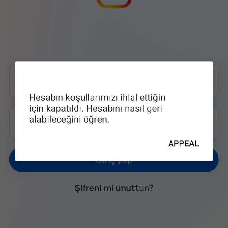 Instagram Hesabım Haksız Yere Kapandı Ve Destek Süreci Belirsiz