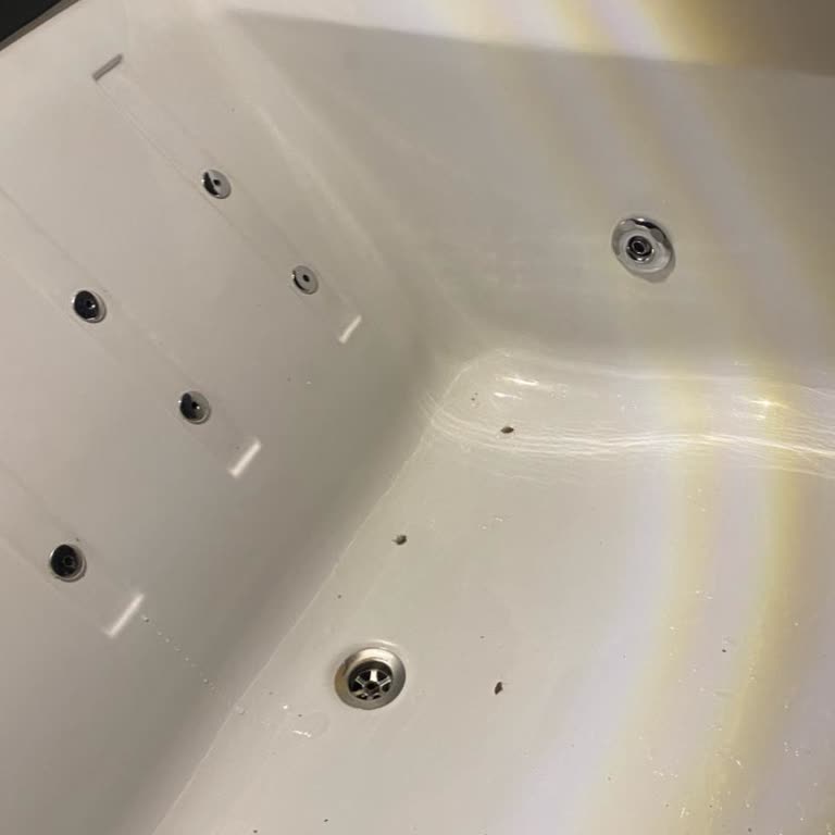 Dirty and Misrepresented Stay at Ravine Bungalow in Sapanca – Requesting Full Refund via Airbnb