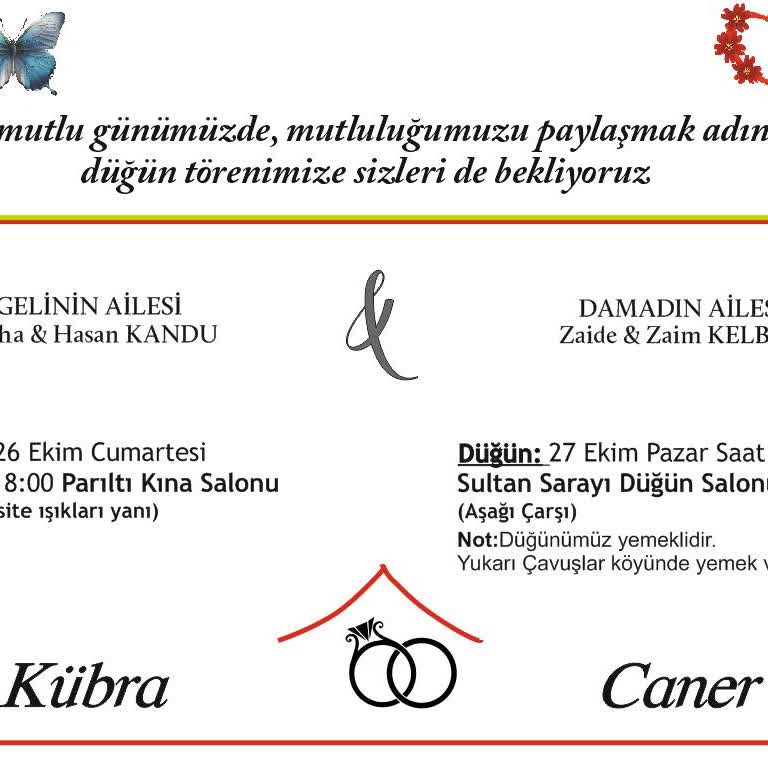 Lifebox Hesabımın Beklenmedik Kapanışı Ve Fotoğraflarıma Erişememe Sorunu