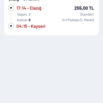 Engelli İndirimi Sorunu: Online Bilet Mağduriyeti