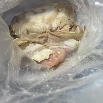 Bozuk Ürün Ve Yanıltıcı Reklam Deneyimi