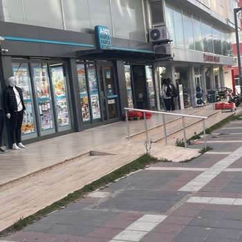Kayıp Kedi Ve A101'in Sorumluluğu