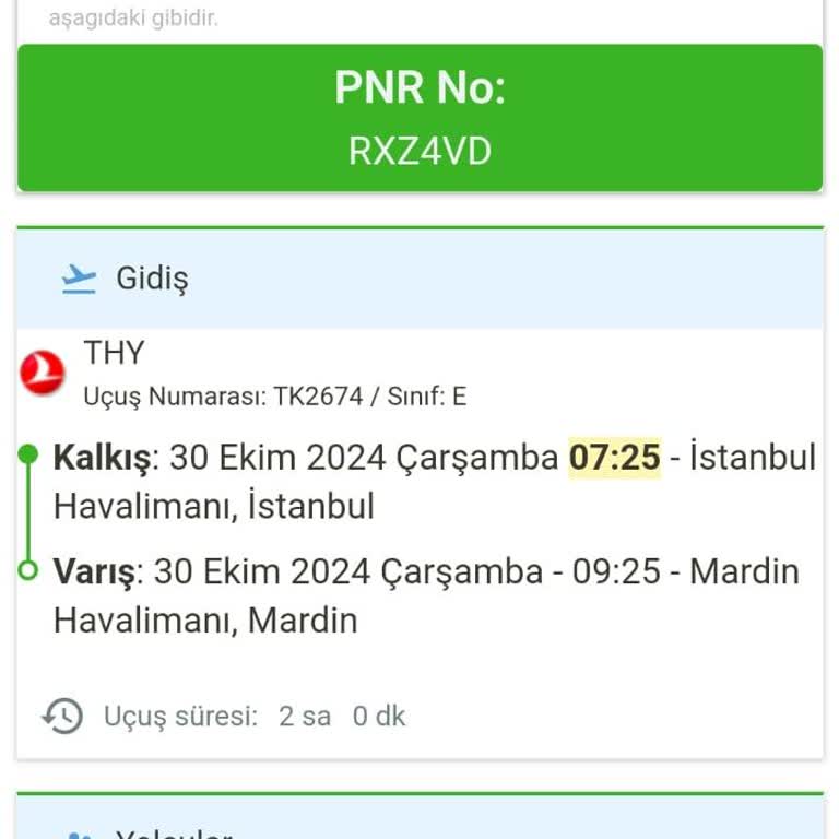 İstanbul-Mardin Uçuşunda Yaşanan Sürekli Sorunlar