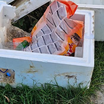 Ümraniye'de Saldırgan Sokak Köpekleri Tehlikesi