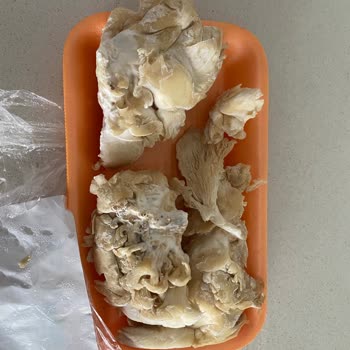 Bozulmuş Ürün Ve İade Sorunu