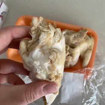 Bozulmuş Ürün Ve İade Sorunu