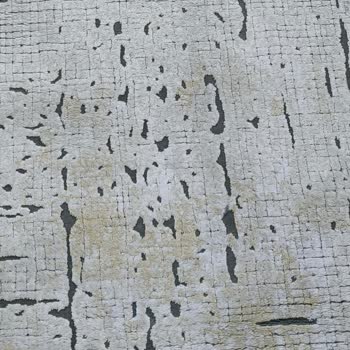 Vivaldi Halı Yıkama (Konya) Halımı Mahvetti