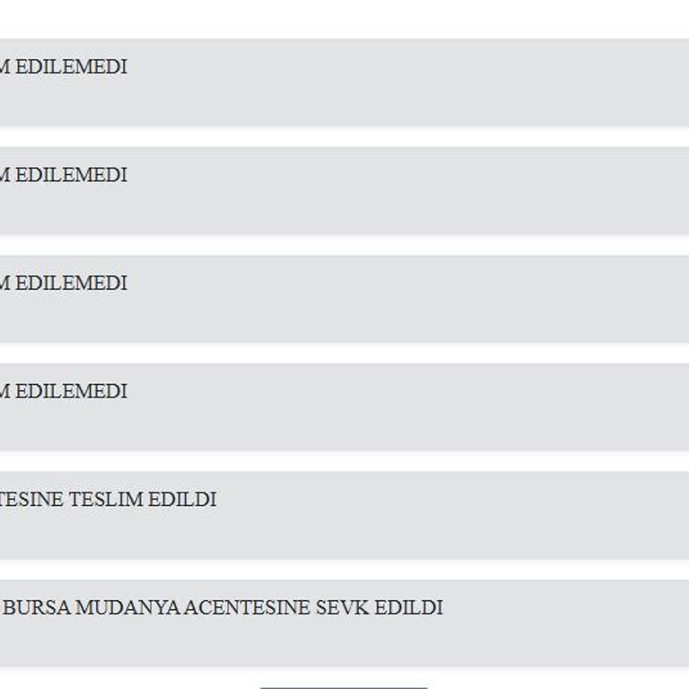 Kuryenet Mudanya'nın Teslimat Sorunu