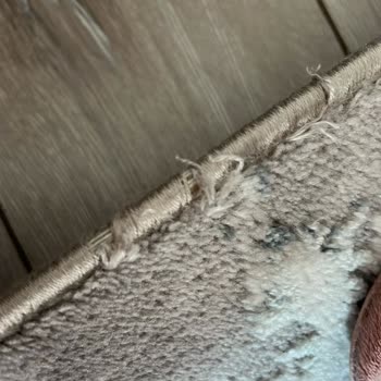 Temizlik Hizmeti Sonrası Halıdaki Hasar Ve İftira İddiası