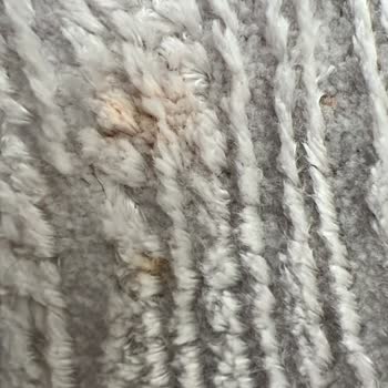 Temizlik Hizmeti Sonrası Halıdaki Hasar Ve İftira İddiası