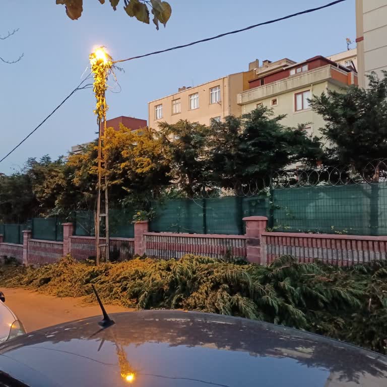 Ümraniye Belediyesi'nin Keyfi Ağaç Budama Ücreti Talebi