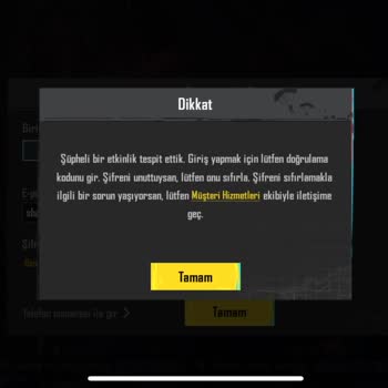 Satın Alınan Hesapta Şüpheli Giriş Sorunu