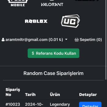 Satın Alınan Hesapta Şüpheli Giriş Sorunu