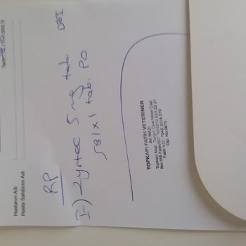 Veteriner Kliniğinde Şok Edici Fiyat Politikası Ve Kayıt Dışı İşlemler