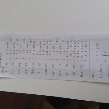 Veteriner Kliniğinde Şok Edici Fiyat Politikası Ve Kayıt Dışı İşlemler