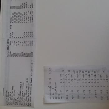 Veteriner Kliniğinde Şok Edici Fiyat Politikası Ve Kayıt Dışı İşlemler