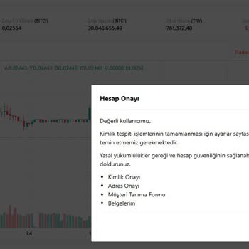 Hesap Onayı Hatası Ve Destek Ekibinin İlgisizliği