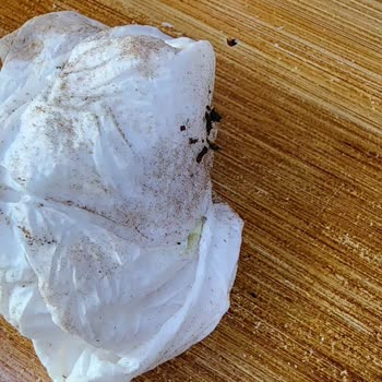 Trendyol'dan Gelen Hijyen Sorunu: Kullanılmış Mendil Şoku