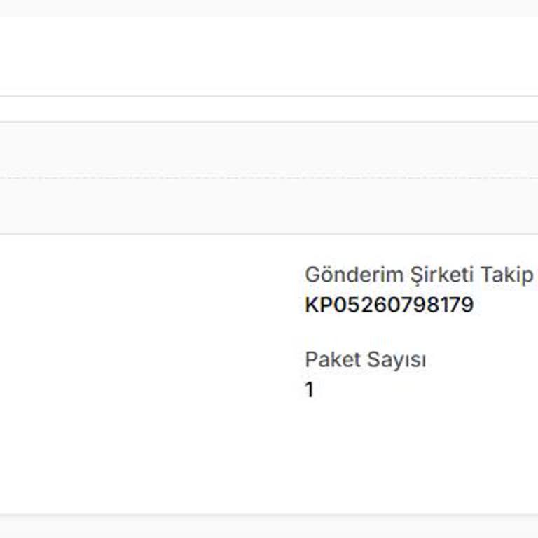 Kargo Görevlisinin Teslimat Sorunu