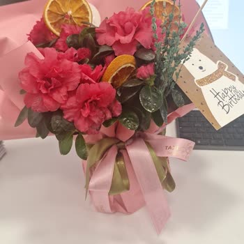 Yanlış Ürün Ve İptal Edilen Siparişle Hayal Kırıklığı