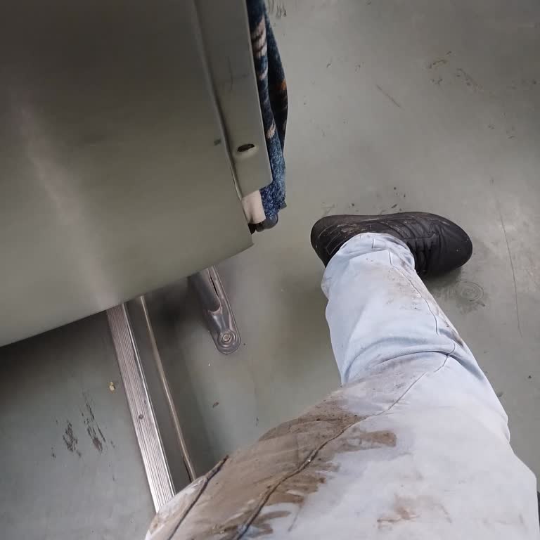 İzmit Belediyesi Köpek Saldırısı Sonucu BinBin Mağduriyeti