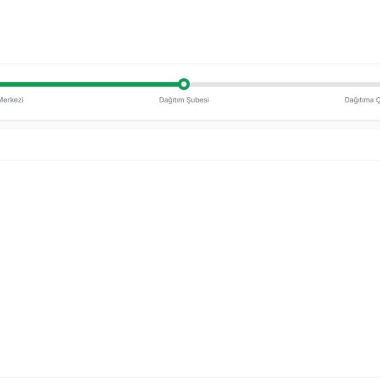 Kargo Teslimatında Gecikme Ve Müşteri Hizmetleri Sorunu