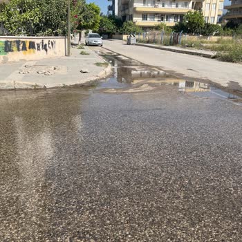 İskenderun Belediyesi Lağım Kuyusu Taşmış 1 Haftadır Koku Çekiyoruz İlgilenen Yok!