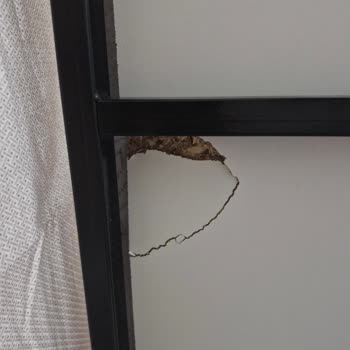 Garanti Süresi Dolmadan Ücret Talebi Ve İletişim Sorunları