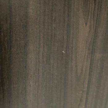Doğtaş Alışverişi Hüsrana Dönüştü: Kalite Sorunları