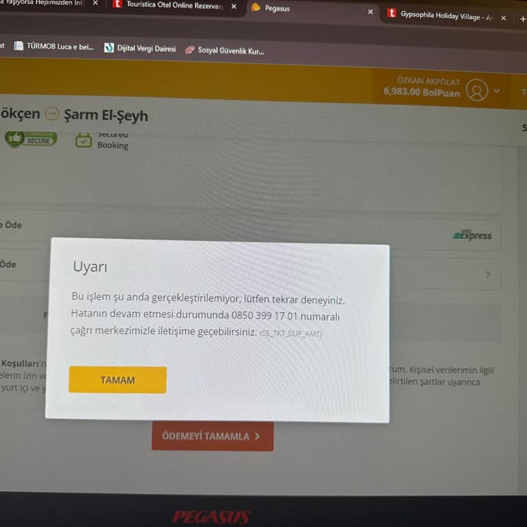 Pegasus Puanları Kullanamama Sorunu
