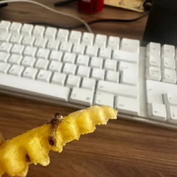 Siparişimden Çıkan Şok Edici Sürpriz